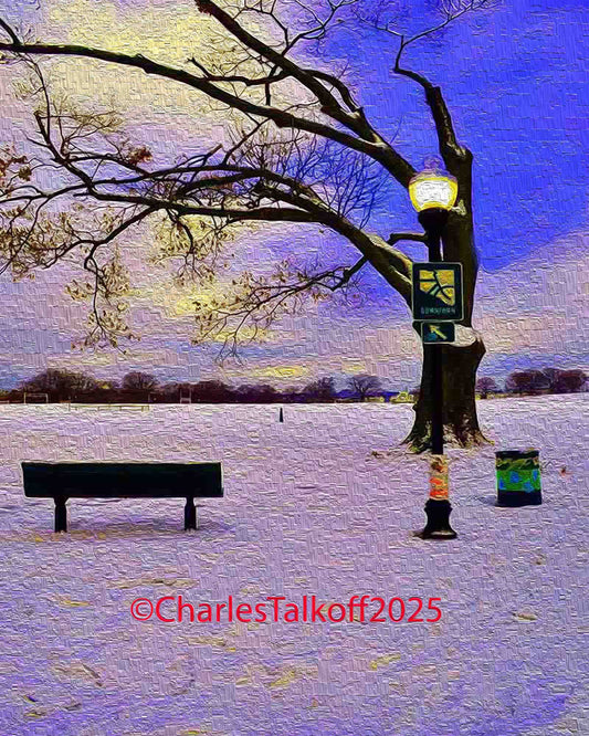 Patterson Park II